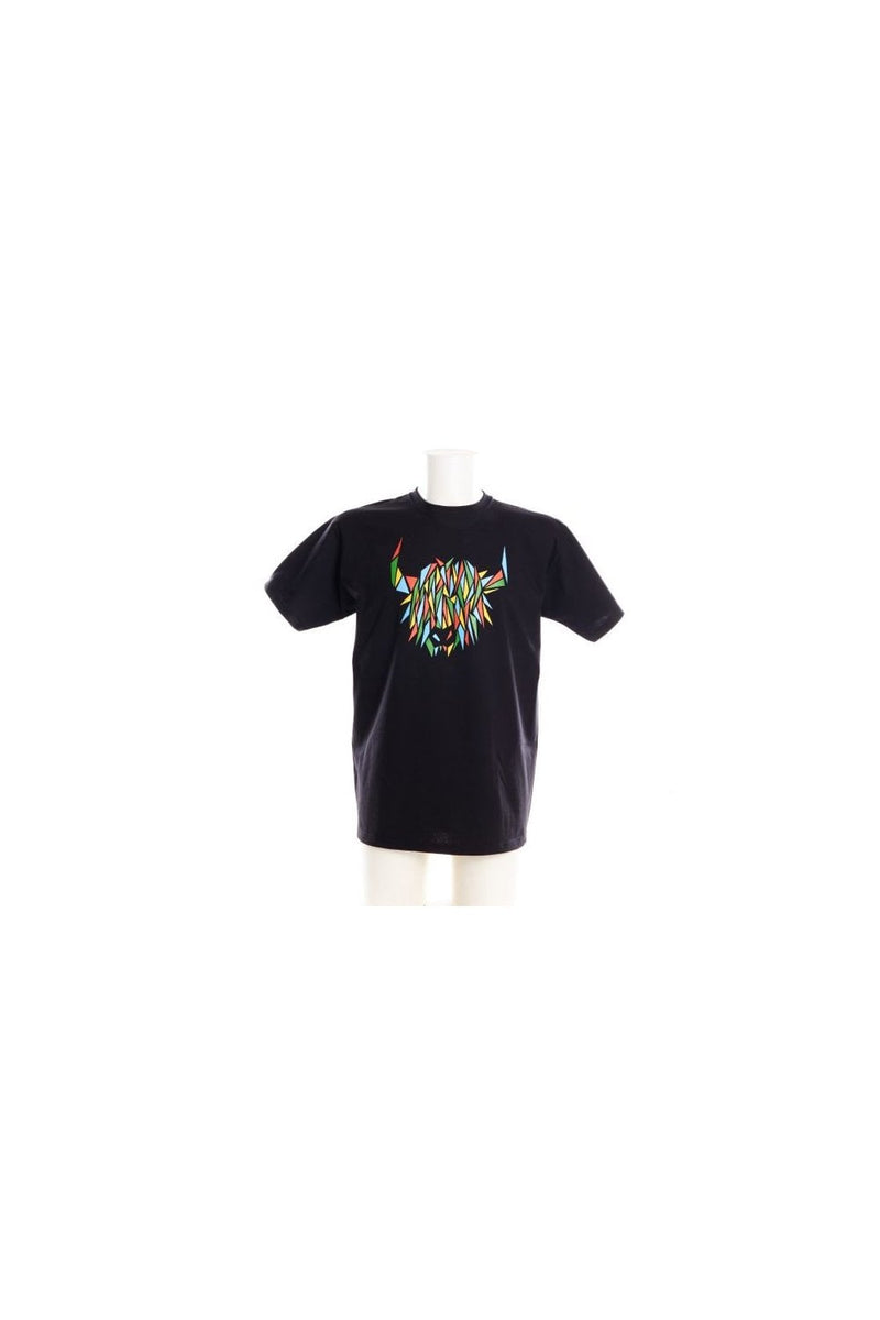 Boys T-shirt Origami Coo