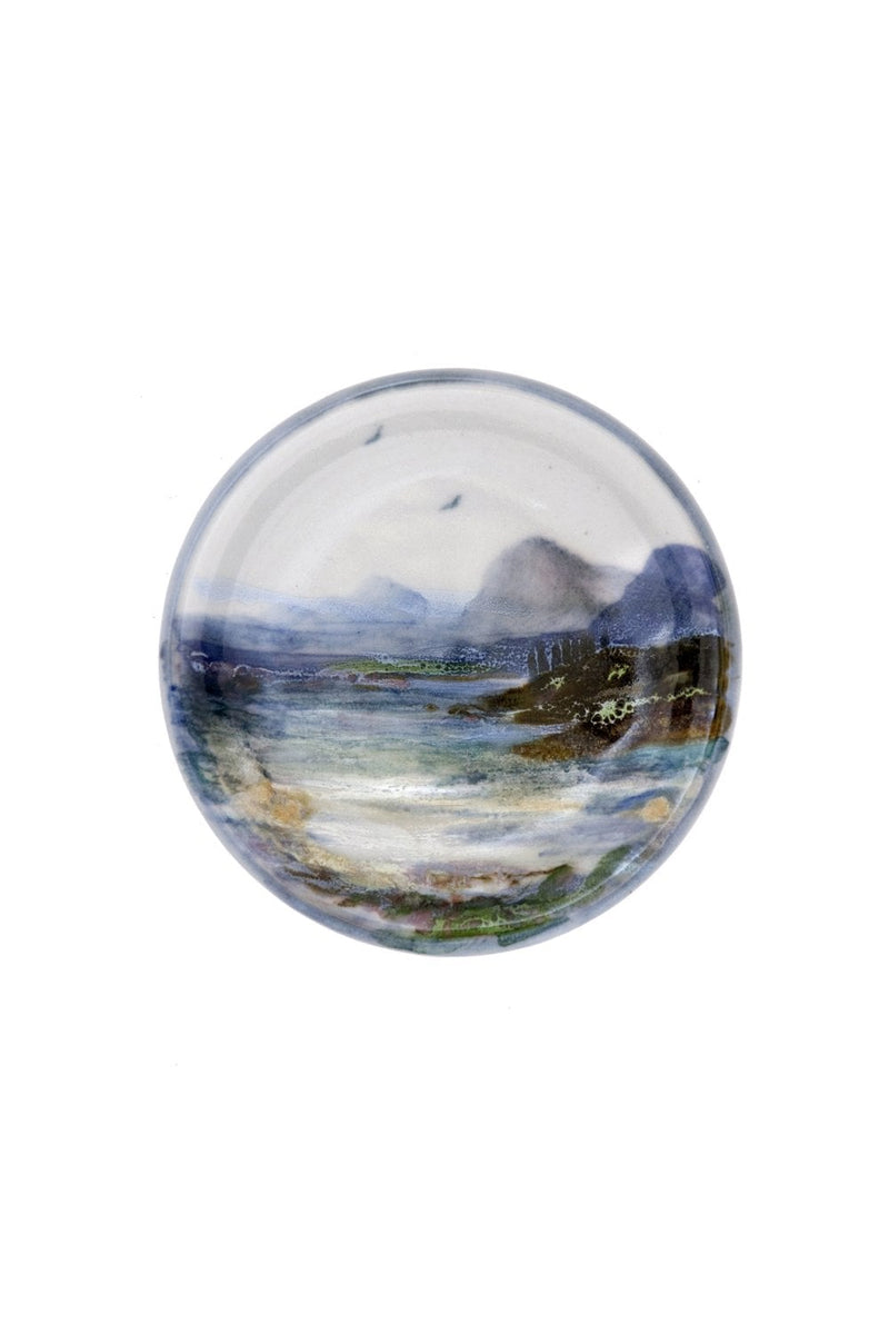 Coaster Landscape