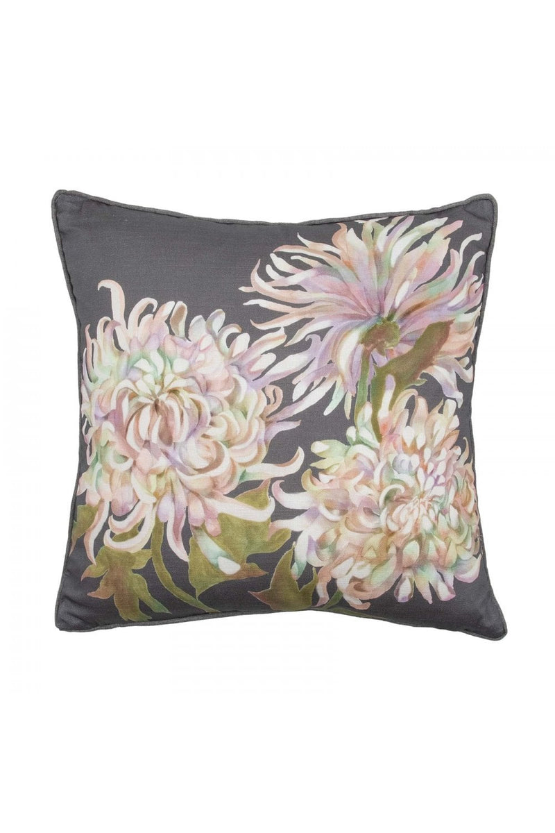 Cushion Belladonna Aster