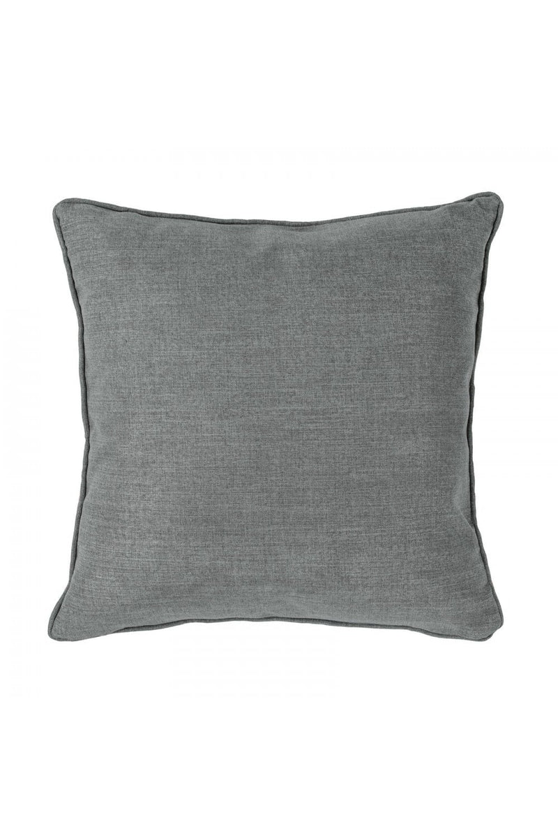 Cushion Belladonna Aster