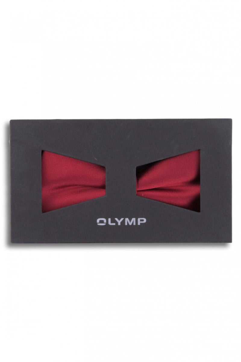 Red Silk Bow Tie