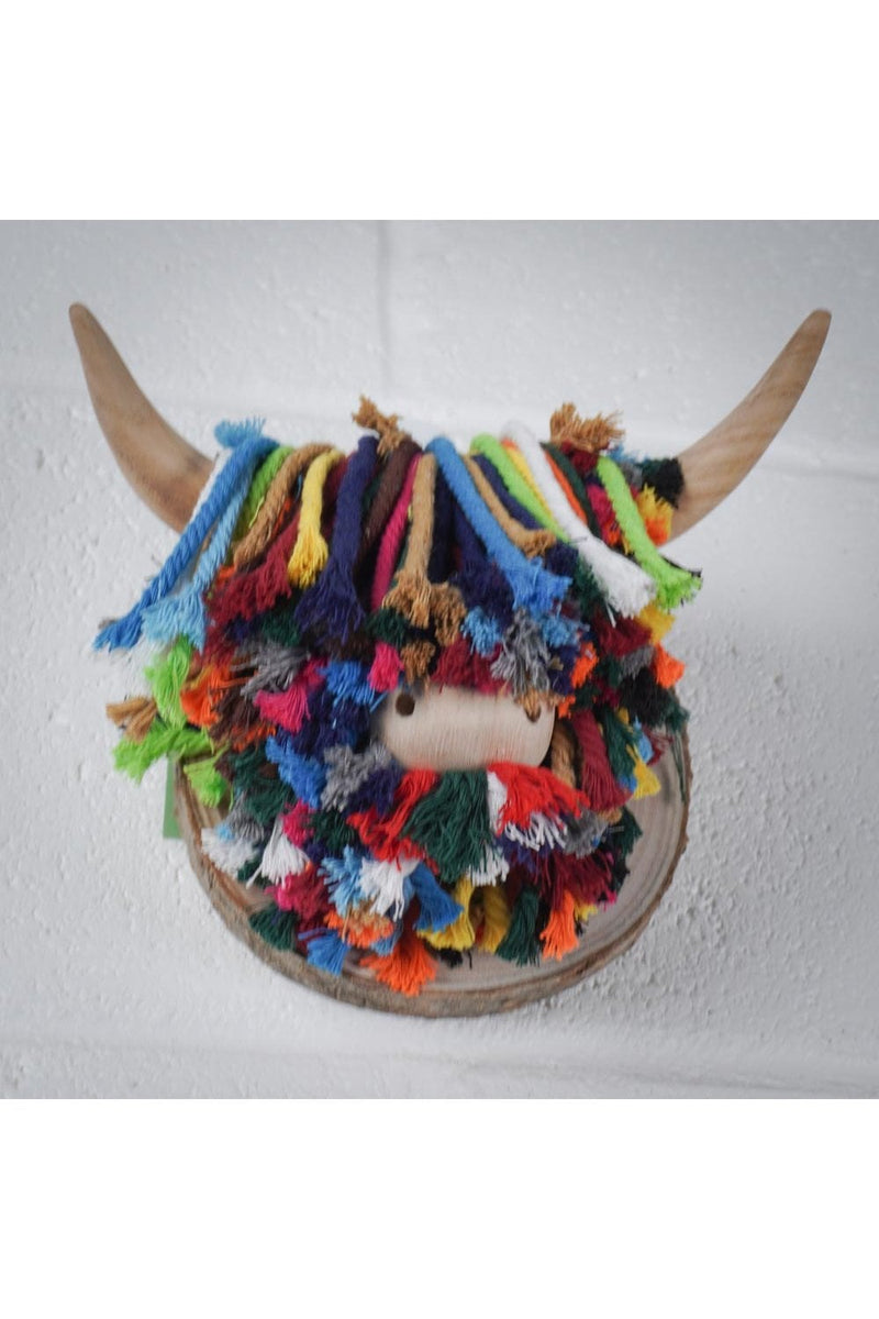 Pablo Mini Wall-Mounted Highland Cow, Cotton Multi