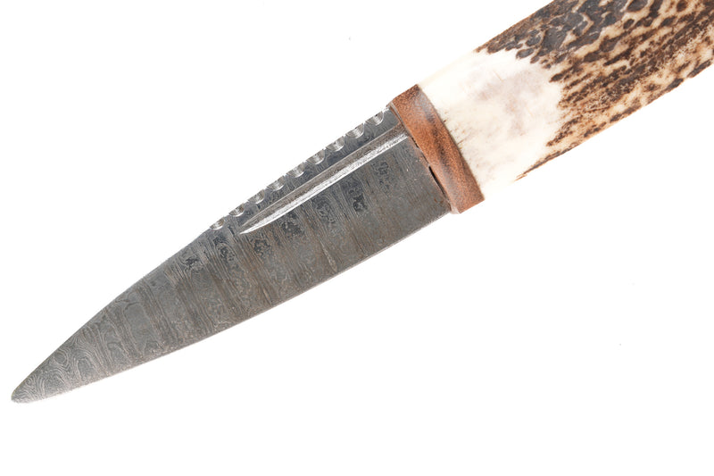 Scottish Staghorn Sgian Dubh with Damascus Blade & Celtic Leather Sheath