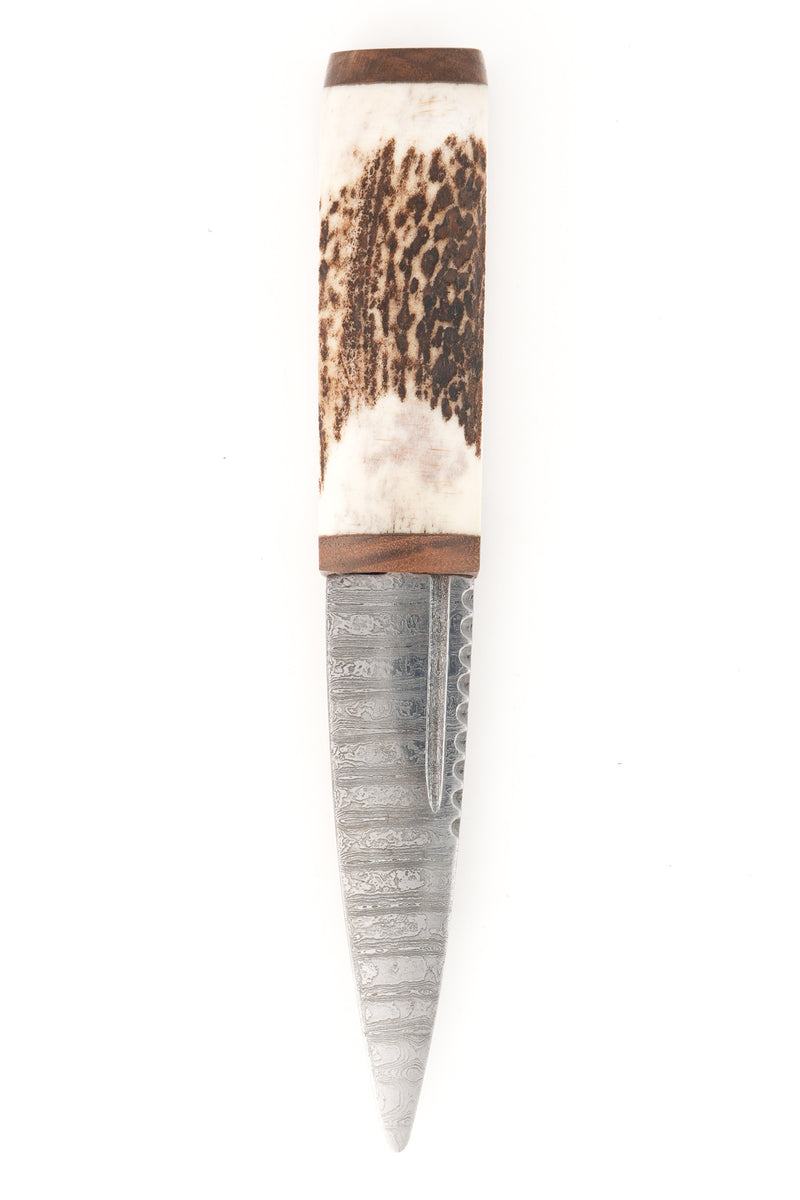 Scottish Staghorn Sgian Dubh with Damascus Blade & Celtic Leather Sheath