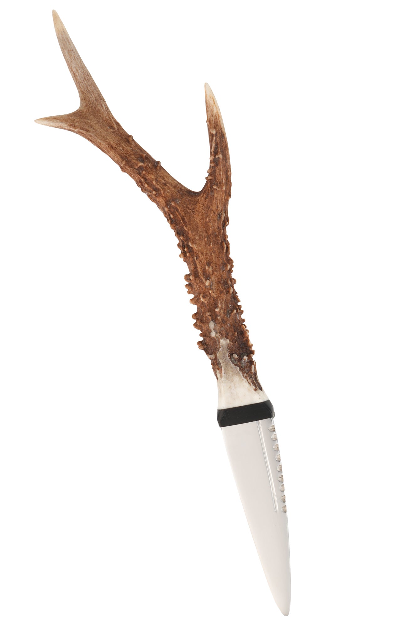 Wild Stag Antler Handle Sgian Dubh front view showing stainless steel blade and stag antler handle
