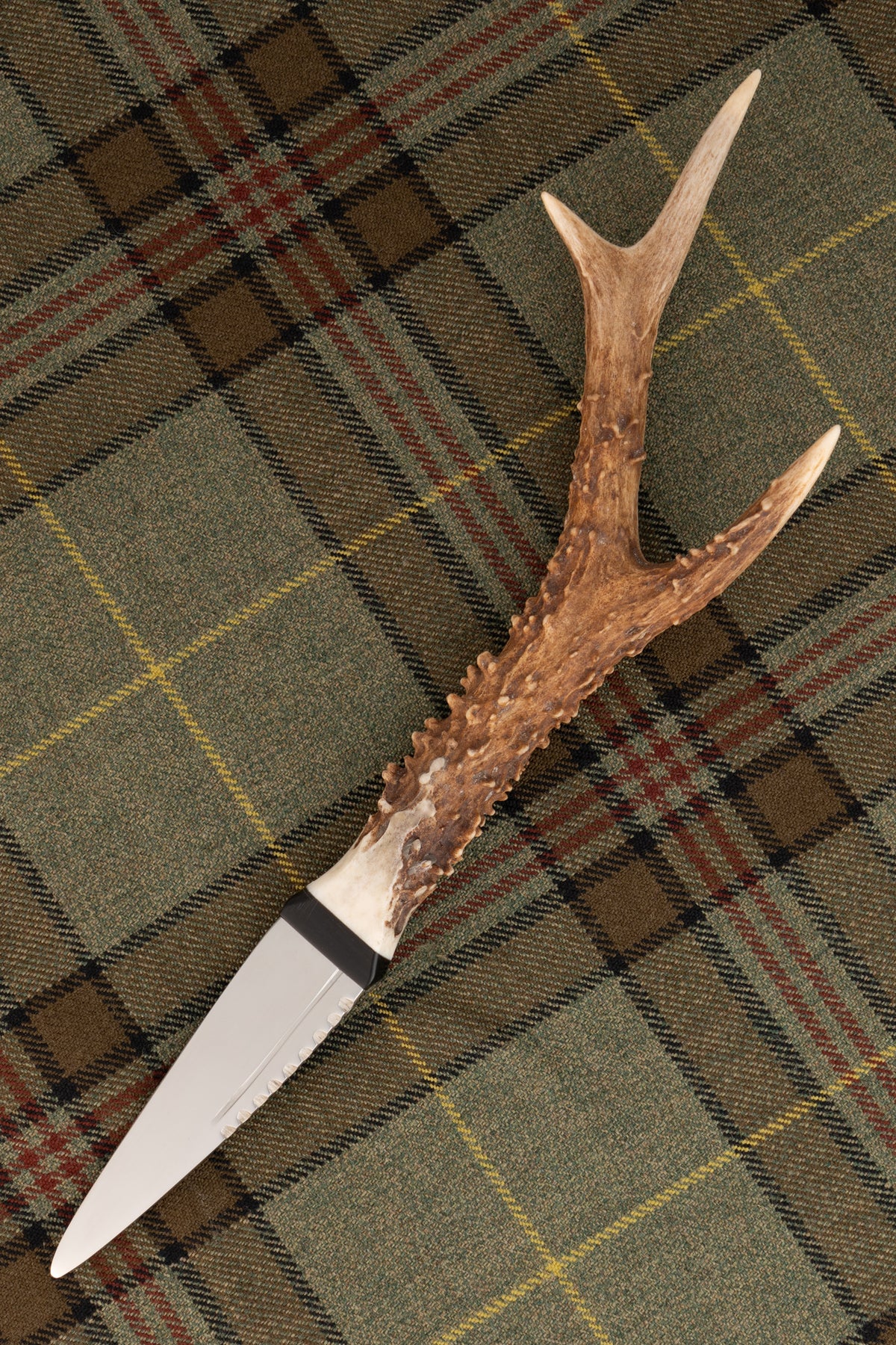 Wild Stag Antler Handle Sgian Dubh front view showing stainless steel blade and stag antler handle, huntsman tartan background