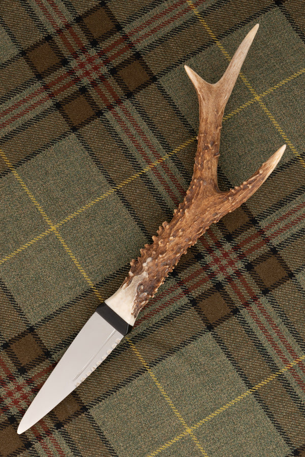 Wild Stag Antler Handle Sgian Dubh front view showing stainless steel blade and stag antler handle, huntsman tartan background